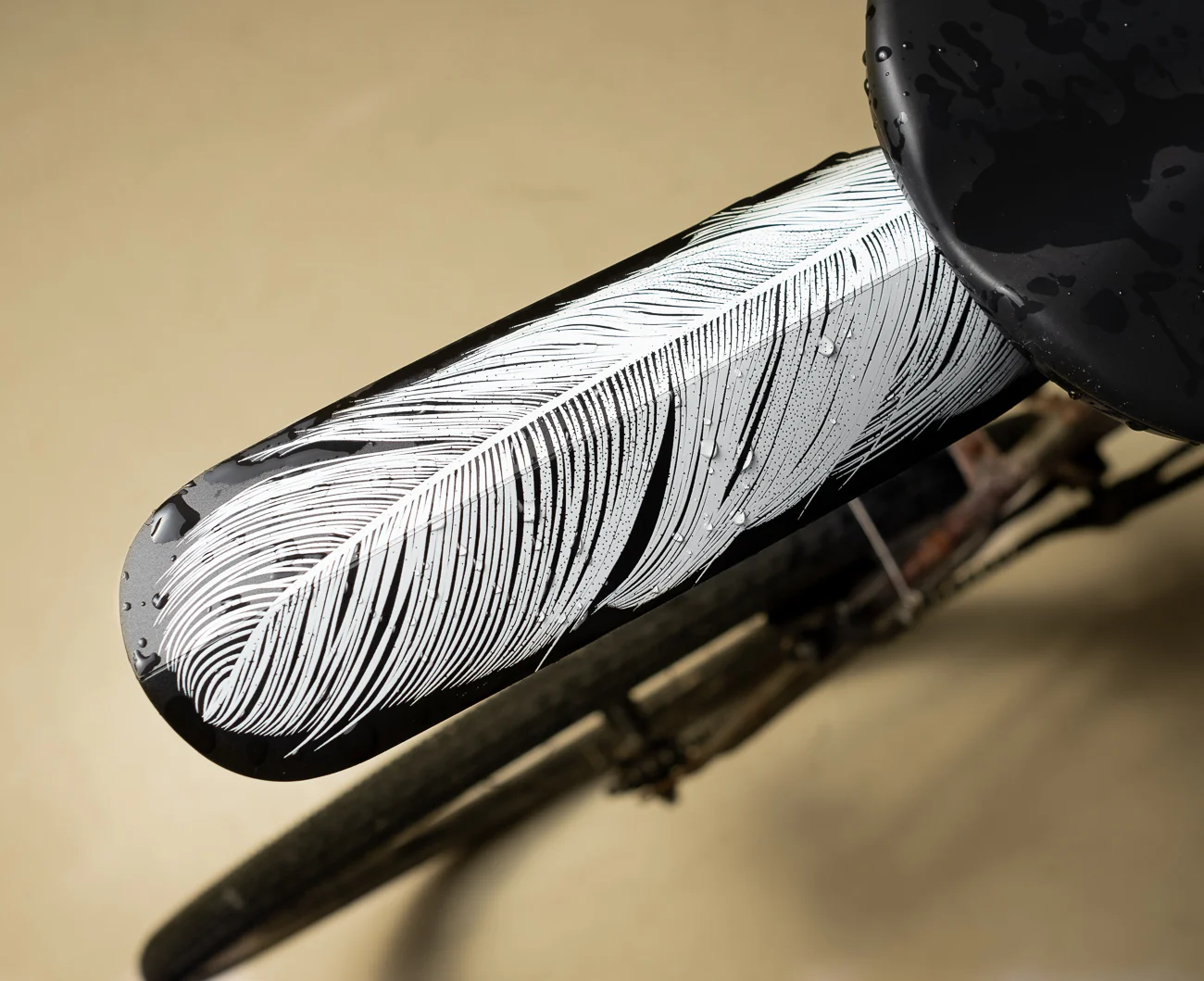 ASR  Feather - Image 4